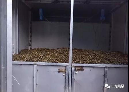 海南烘干檳榔 海南烘干檳榔