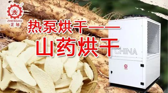 山藥熱泵烘干 山藥熱泵烘干