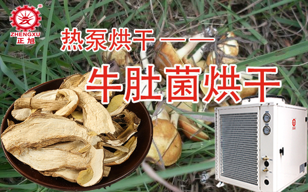 牛肚菌空氣能熱泵烘干機 牛肚菌空氣能熱泵烘干機