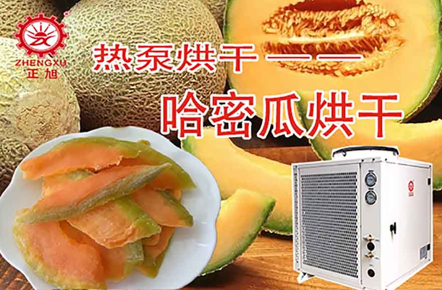 哈密瓜熱泵烘干機 哈密瓜熱泵烘干機