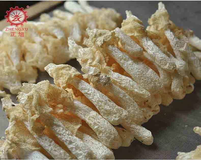 竹笙熱泵烘干機及烘干溫度 竹笙熱泵烘干機及烘干溫度