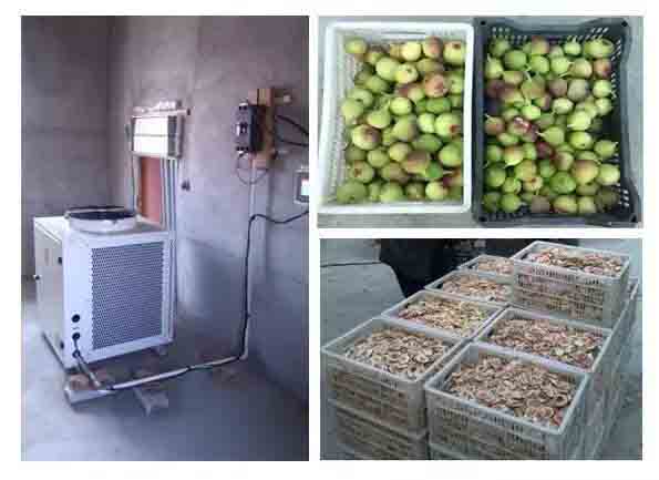 正旭空氣能無花果熱泵烘干機項目 正旭空氣能無花果熱泵烘干機項目