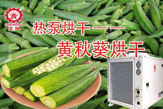 黃秋葵熱泵烘干工藝 黃秋葵熱泵烘干工藝