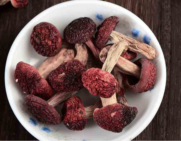 紅菇烘干工藝(烘干時間和最佳溫度) 紅菇烘干工藝(烘干時間和最佳溫度)