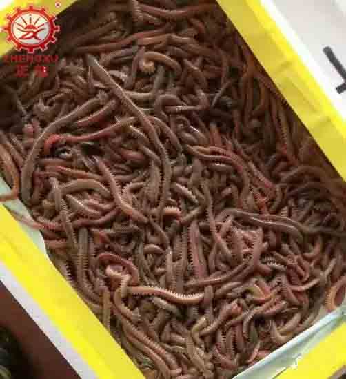 海產品烘干機廠家和烘干設備價格 海產品烘干機廠家和烘干設備價格