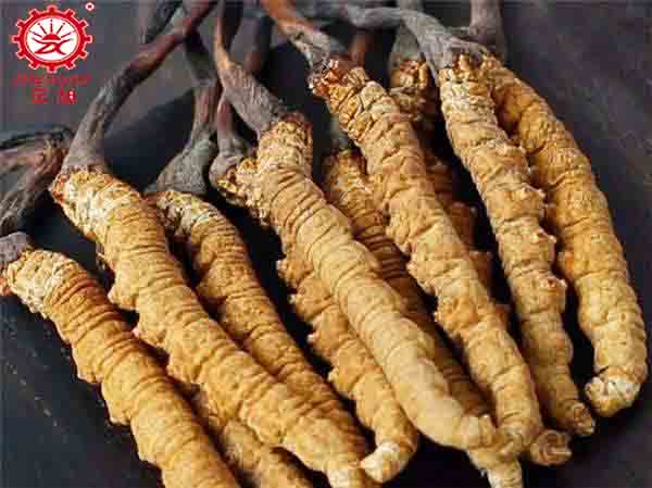 蟲草水洗后能空氣能烘干嗎？