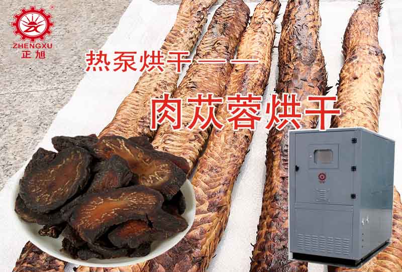正旭肉蓯蓉熱泵烘干工藝（烘干溫度、時間）