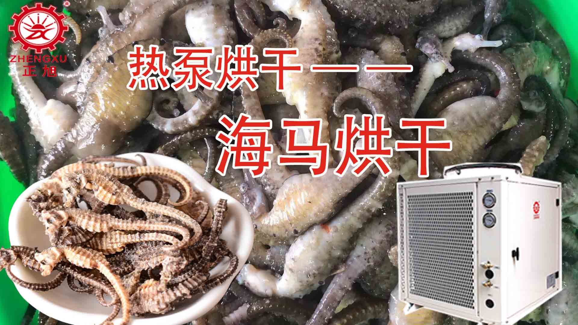 海馬熱泵烘干方法詳解（含研粉、清洗、宰殺、烘干時間）